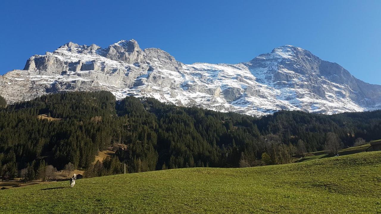 Alojamento de Turismo Rural Bei Der Arve *